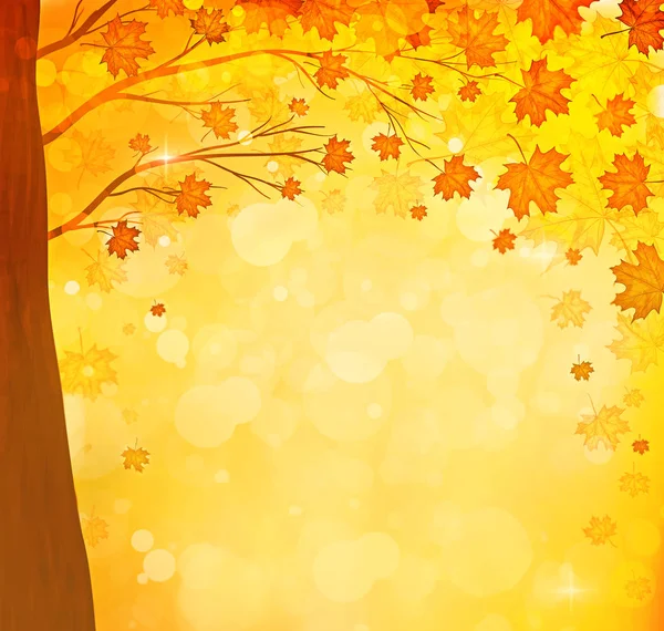 turuncu sonbahar akçaağaç doğal ağaç arka plan bırakır