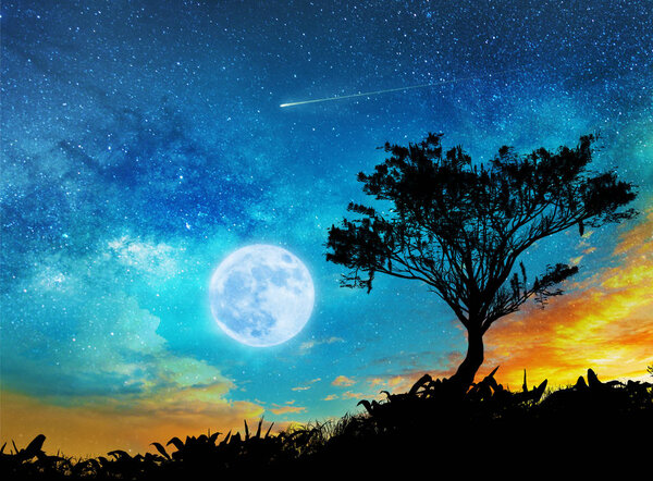 Magic night lanscape with starry sky, full moon and tree