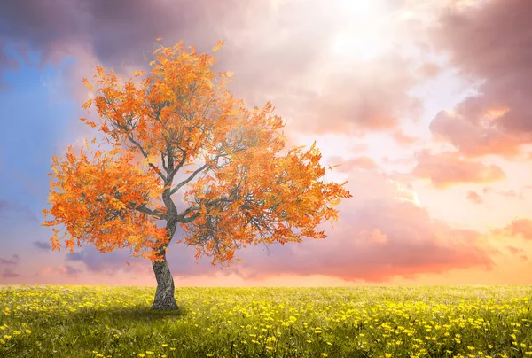 Uma paisagem de fantasia com árvore de outono amarelo — Fotografia de Stock