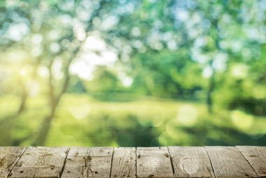 Ahşap masa ve bahar ormanı geçmişi