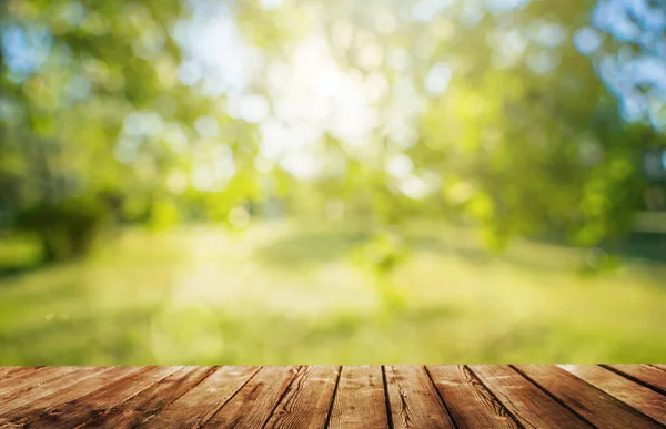 Trä Bord Och Vår Skog Bakgrund — Stockfoto