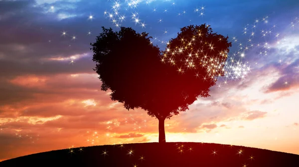 Tree Heart Shape Dramatic Sunset Sky Concept Charity Love — Stock Photo, Image