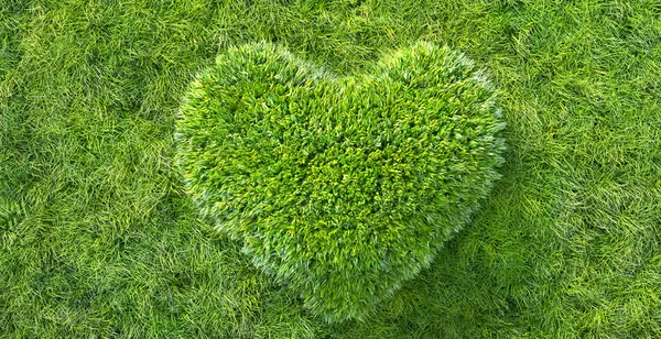 Grünes Gras Herzform Konzept Der Umwelt Und Nachhaltigkeit — Stockfoto