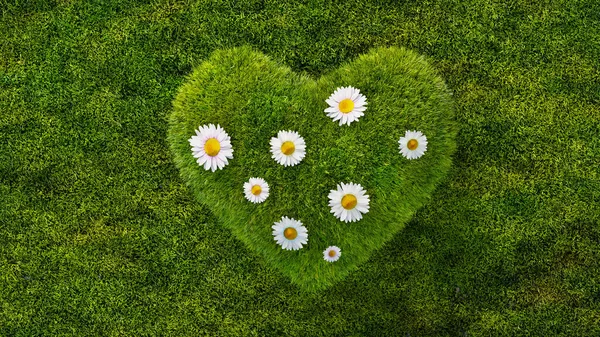 Green Grass Heart Shape Daisy Flowers Concept Environment Sustainabilit — Stock Photo, Image