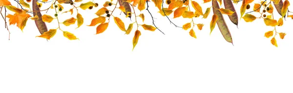 Jesienne Liście Gałęzie Ramka Izolowane Białym Tle — Zdjęcie stockowe
