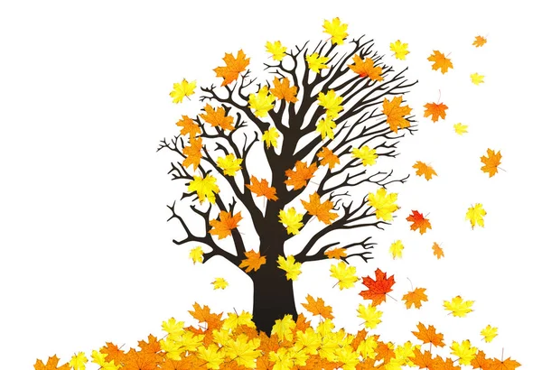 Outono Árvore Bordo Folhas Caídas Ilustração — Fotografia de Stock
