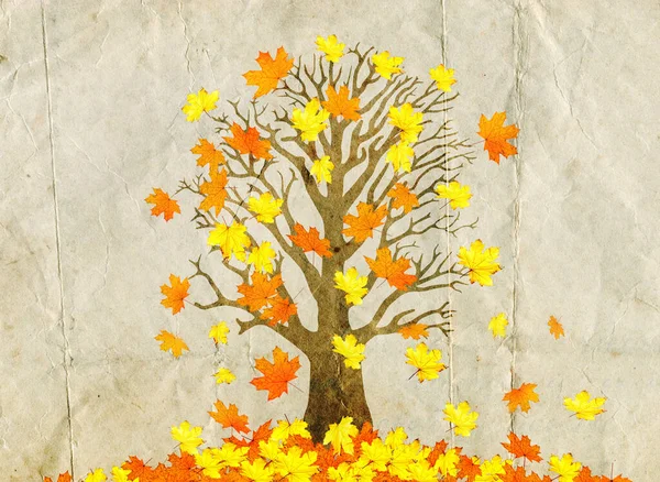 Autumn Maple Tree Fallen Leaves Vintage Illustration — Stock Photo, Image