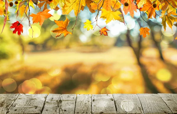 Houten Tafel Met Oranje Bladeren Herfst Achtergrond — Stockfoto