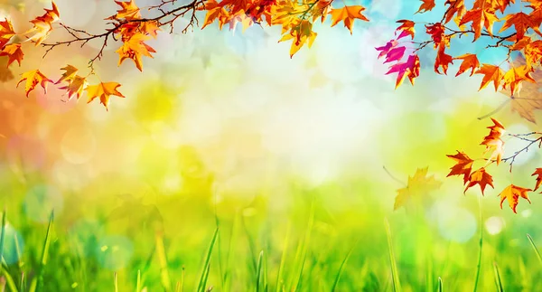 Foglie Autunno Arancione Autunno Sfondo Naturale — Foto Stock