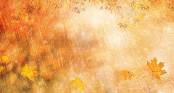Orange Fall Leaves Rain Autumn Natural Background — Stock Photo, Image