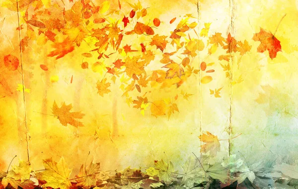 Абстрактный Фон Осеннего Клена — стоковое фото