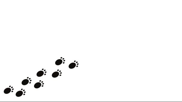 白色背景上的黑色动物脚印是对角线行走的结果 视频保管器 无缝线环路 — 图库视频影像