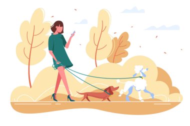 Genç kadın ile köpek Ormanda yürür.