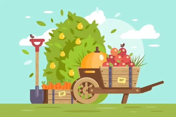 Vlakke groenten en fruit, kar met appel, doos met wortel en boerderij apparatuur, schop. — Stockfoto