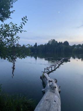 Gölde bir akşam Devrilmiş bir ağaç