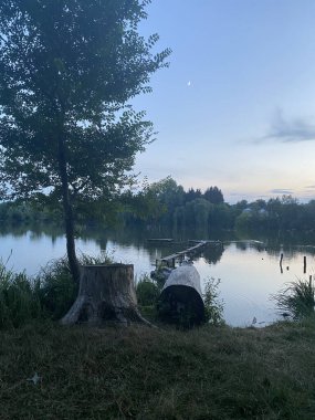 Gölde bir akşam Devrilmiş bir ağaç