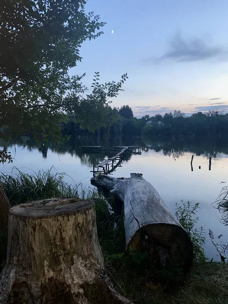 Gölde bir akşam Devrilmiş bir ağaç