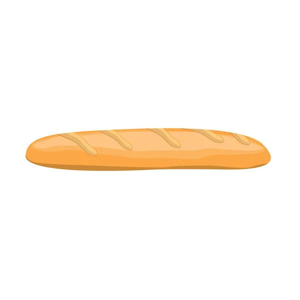 Friss ropogós kenyér baguette konty Loaf állomány vektor illusztráció elszigetelt fehér háttér-vektor — Stock Vector