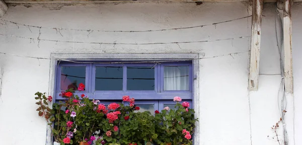 Old Earth House Flowered Window — Stock Photo, Image