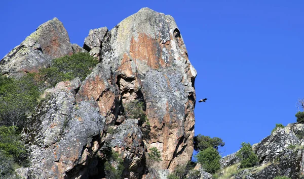 人間の顔をした岩とイーグル — ストック写真