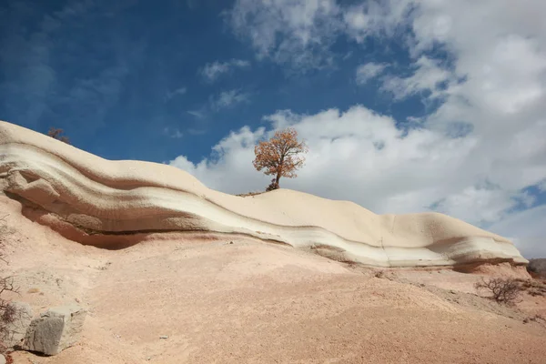 Viento Erosión Rocas Fondo — Foto de Stock