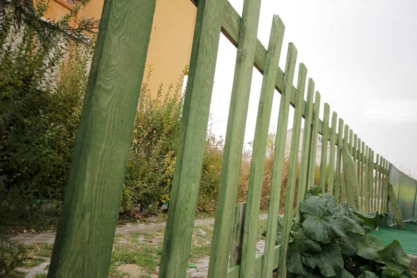 Drewniany Płot Zielony Ogród — Zdjęcie stockowe