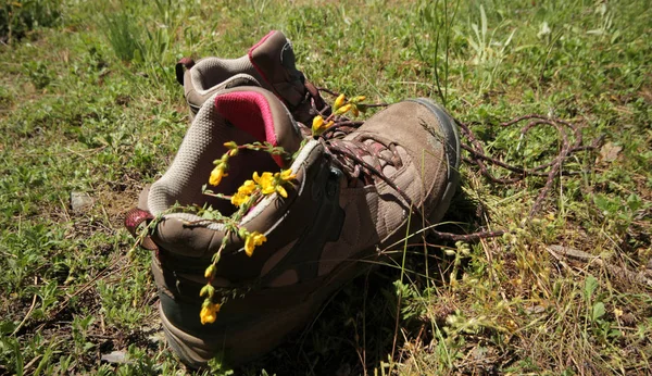 登山靴での花 — ストック写真