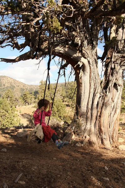 Pohon Juniper Ayunan Dan Bermain Anak — Stok Foto