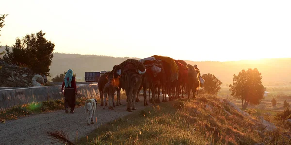 Nomadic Ludzi Zwierzętami — Zdjęcie stockowe