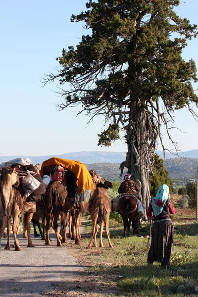 Nomadic Ludzi Zwierzętami — Zdjęcie stockowe