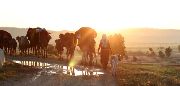 nomadic people with animals