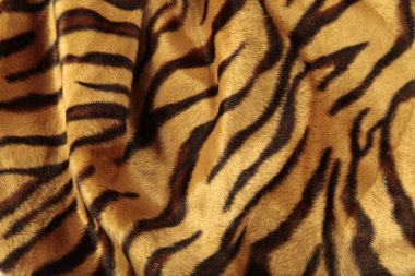 Bir leopar cildin görünümünü yakın çekim 