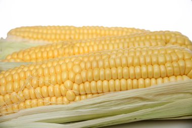 Üzerinde Mısır, portre