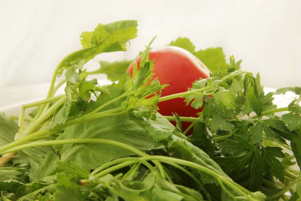 Frisches Gemüse Und Tomaten — Stockfoto