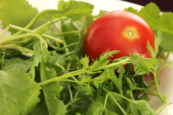 Frisches Gemüse Und Tomaten — Stockfoto