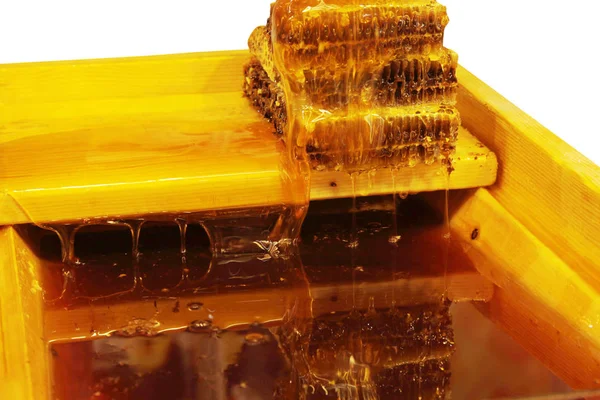 Färska Och Ekologiska Honeycomb — Stockfoto
