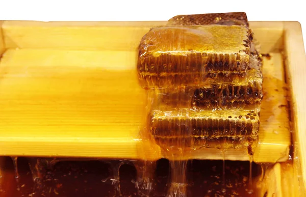 Fresh Organic Honeycomb — Stock Photo, Image