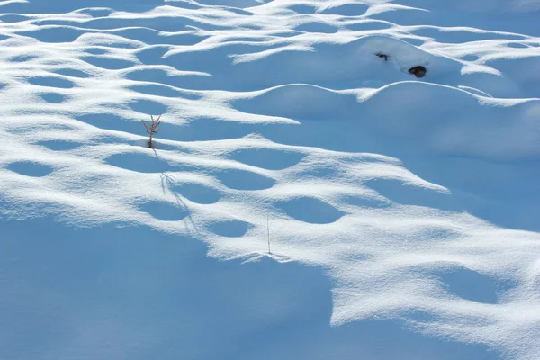 Nieve Suelo —  Fotos de Stock