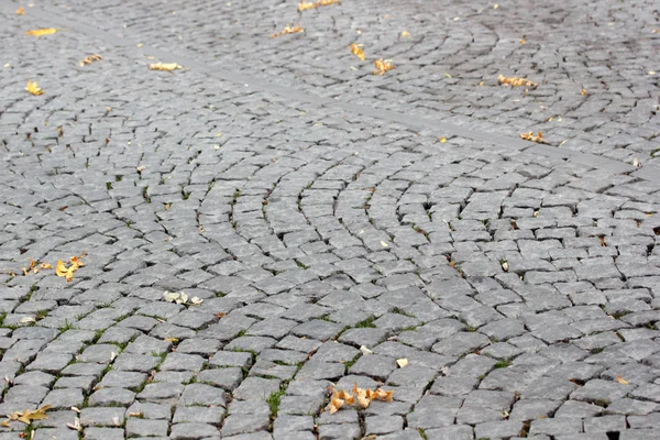 Old Cobblestone Pavement Yellow Leaves — Stock Photo, Image