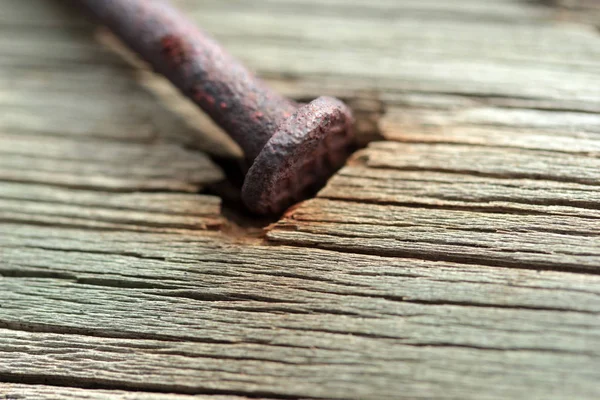 Rusty Nails Wood Texture — Stock Photo, Image