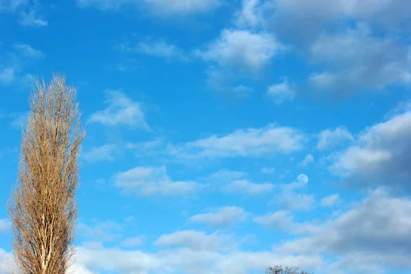 Felhős Égbolt Hold — Stock Fotó