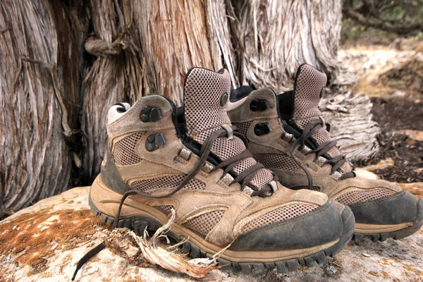 Zapato Montaña Piedra —  Fotos de Stock