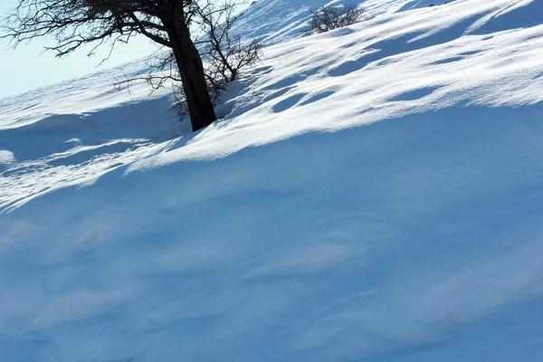 Bir Kış Gününde Karlı Dağ — Stok fotoğraf