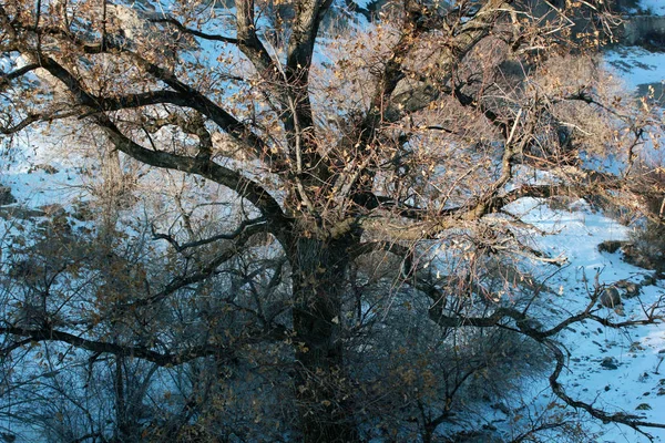 Snöigt Berg Vinter Dag — Stockfoto