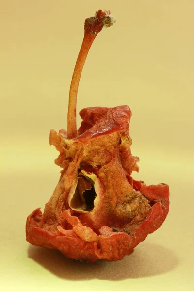 在五颜六色的背景上 皱巴巴的烂苹果 — 图库照片