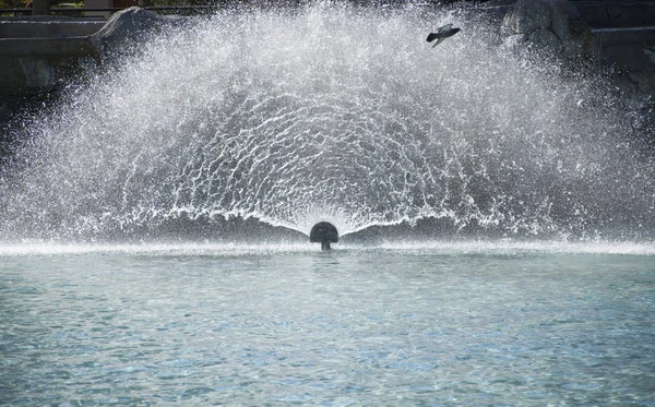 Fontän Poolen — Stockfoto