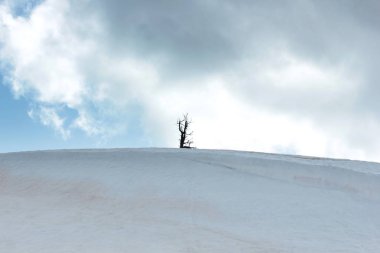 karlı tepe ve bulutlu gökyüzü