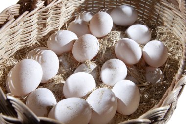 hasır sepet yumurta