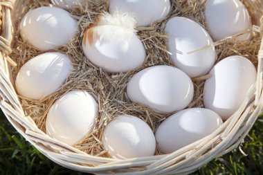 hasır sepet yumurta