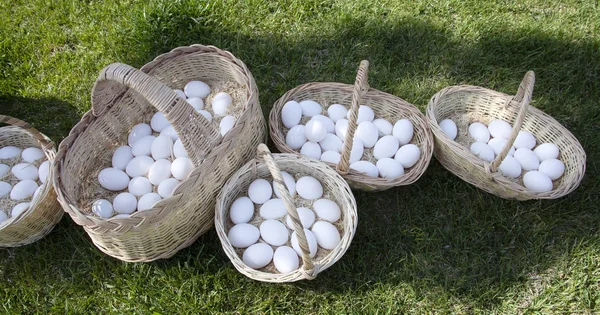 Hasır Sepet Yumurta — Stok fotoğraf